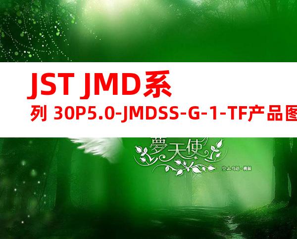 JST JMD系列 30P5.0-JMDSS-G-1-TF产品图纸